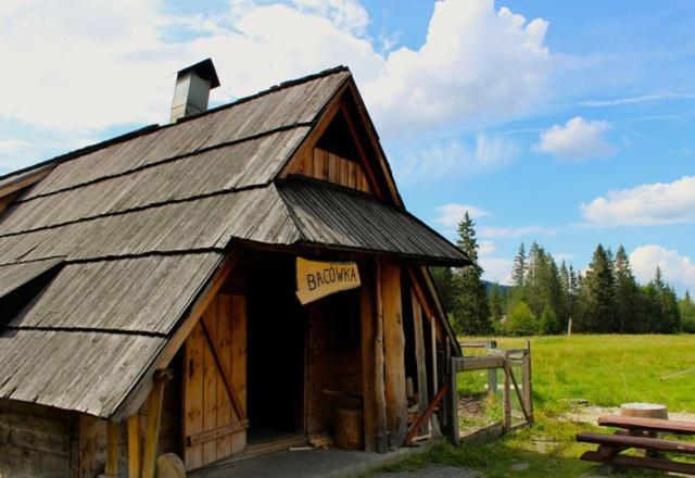 Apartament Bazatatry Giewont View Zakopane Dış mekan fotoğraf